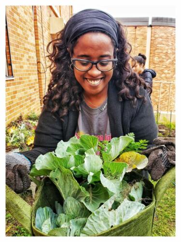 Inter-generational Gardening