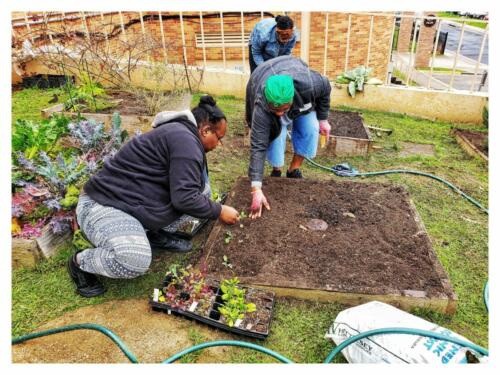 Inter-generational Gardening
