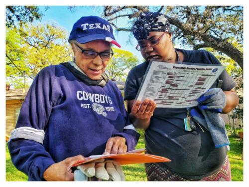 Inter-generational Gardening