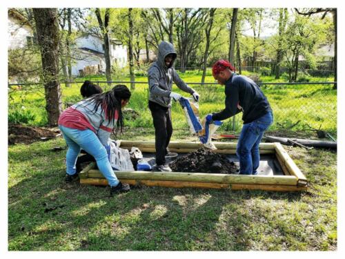 Inter-generational Gardening
