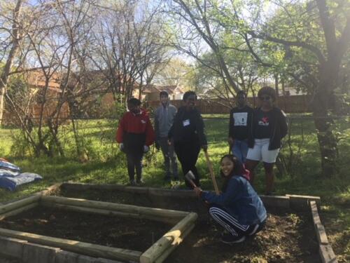Inter-generational Gardening